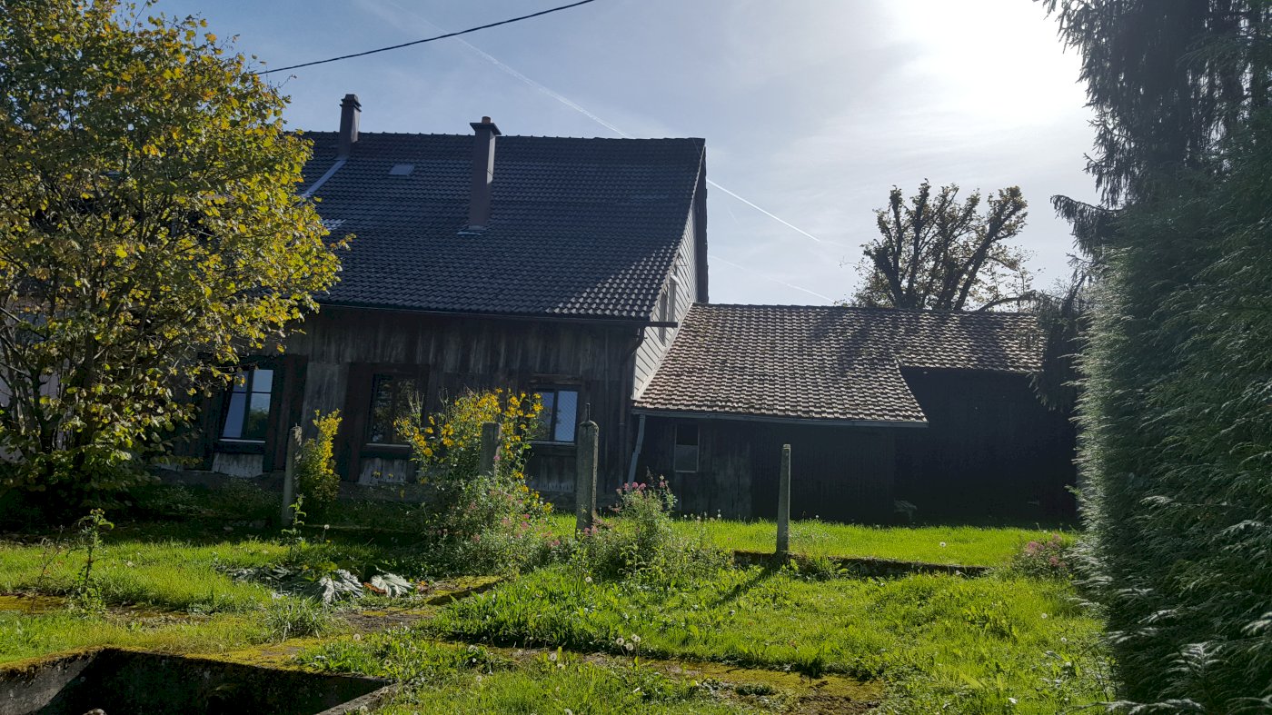 Maison Alsacienne - Photo 13 - Durlinsdorf