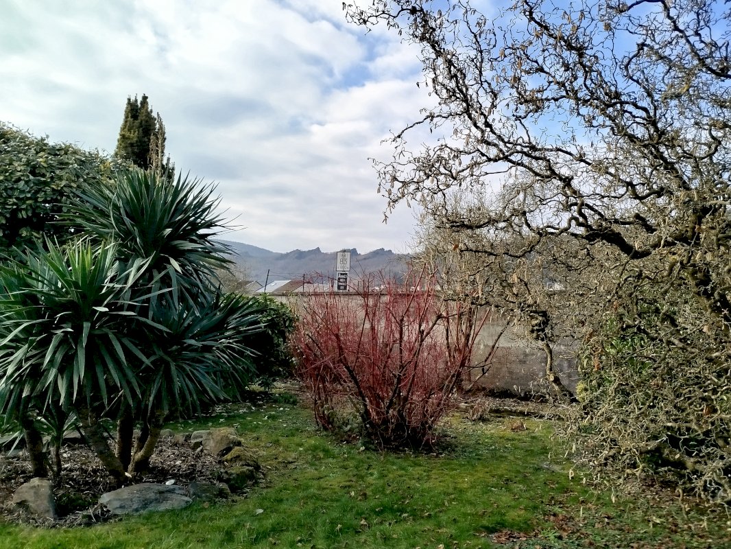 Maison familiale authentique - Photo 15 - Bogny-sur-Meuse