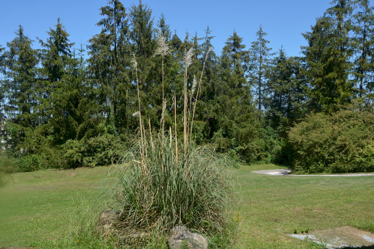 ph15_33570