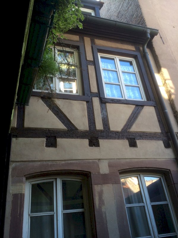 APPARTEMENT 2 PIÈCES - Photo 2 - Strasbourg