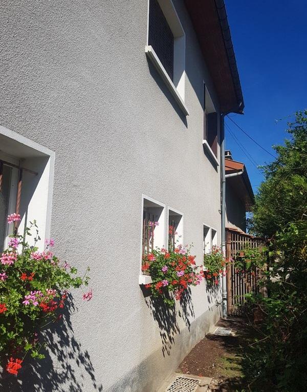 Grande maison - Photo 2 - Dombasle-sur-Meurthe