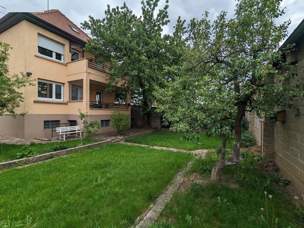 Bel appartement lumineux - Photo 2 - Oberhausbergen