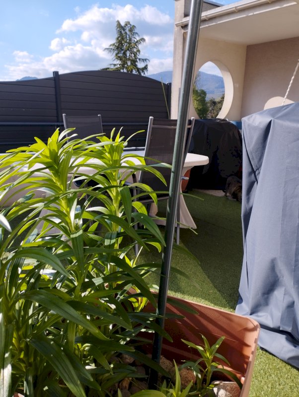 Bel appartement T3 - Photo 4 - Cernay