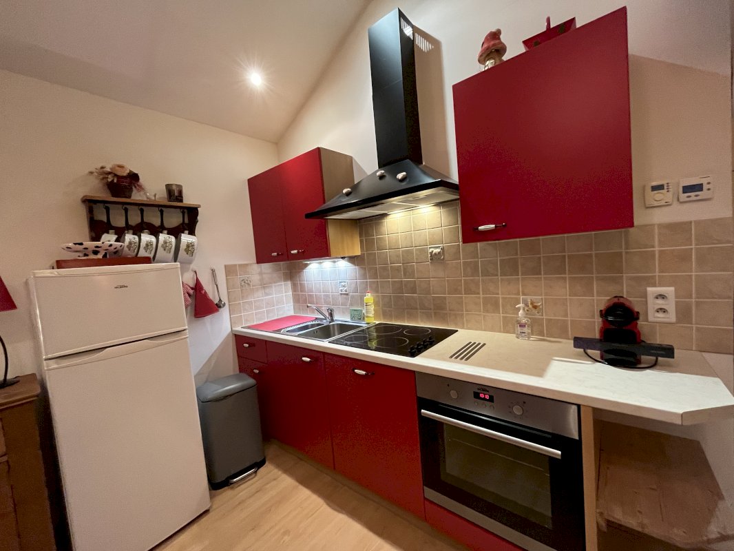 APPARTEMENT DE 45 M² - Photo 4 - Gérardmer