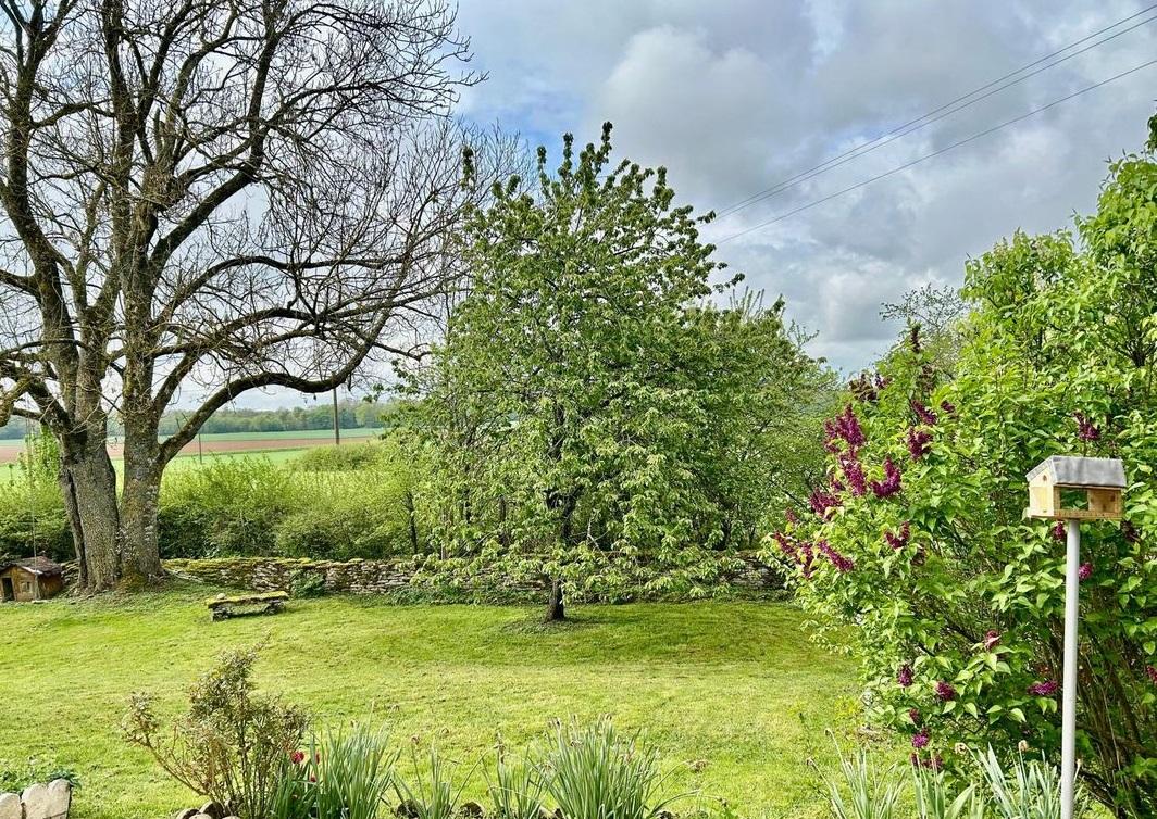 Maison avec terrain - Photo 4 - Bricon