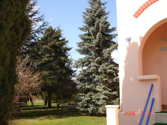 ph5_28873