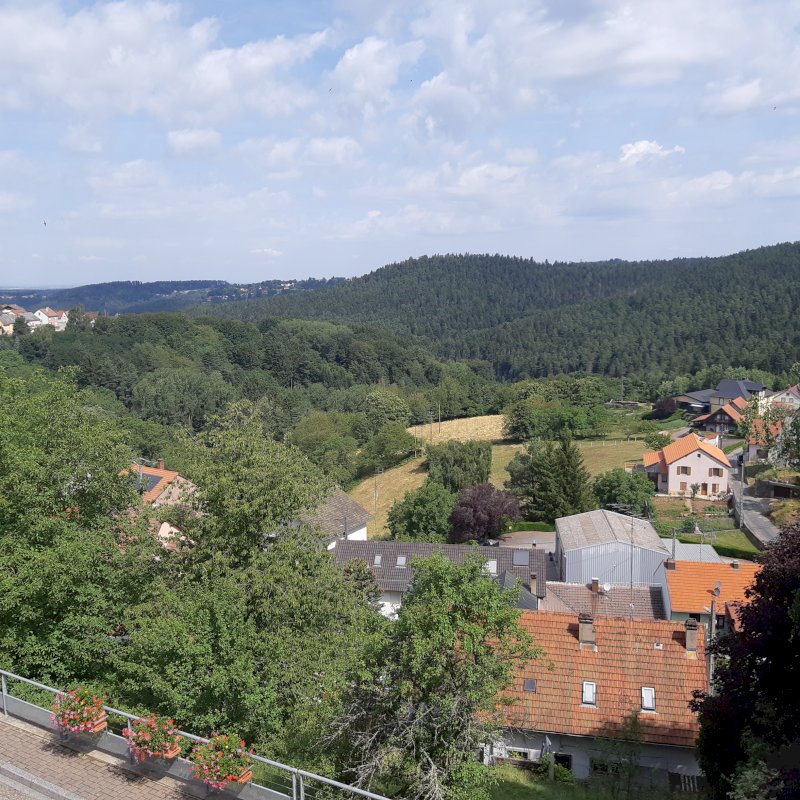 Maison - Photo 5 - Dabo
