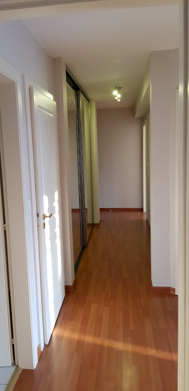 Appartement - 3 pièces - Photo 7 - Ensisheim