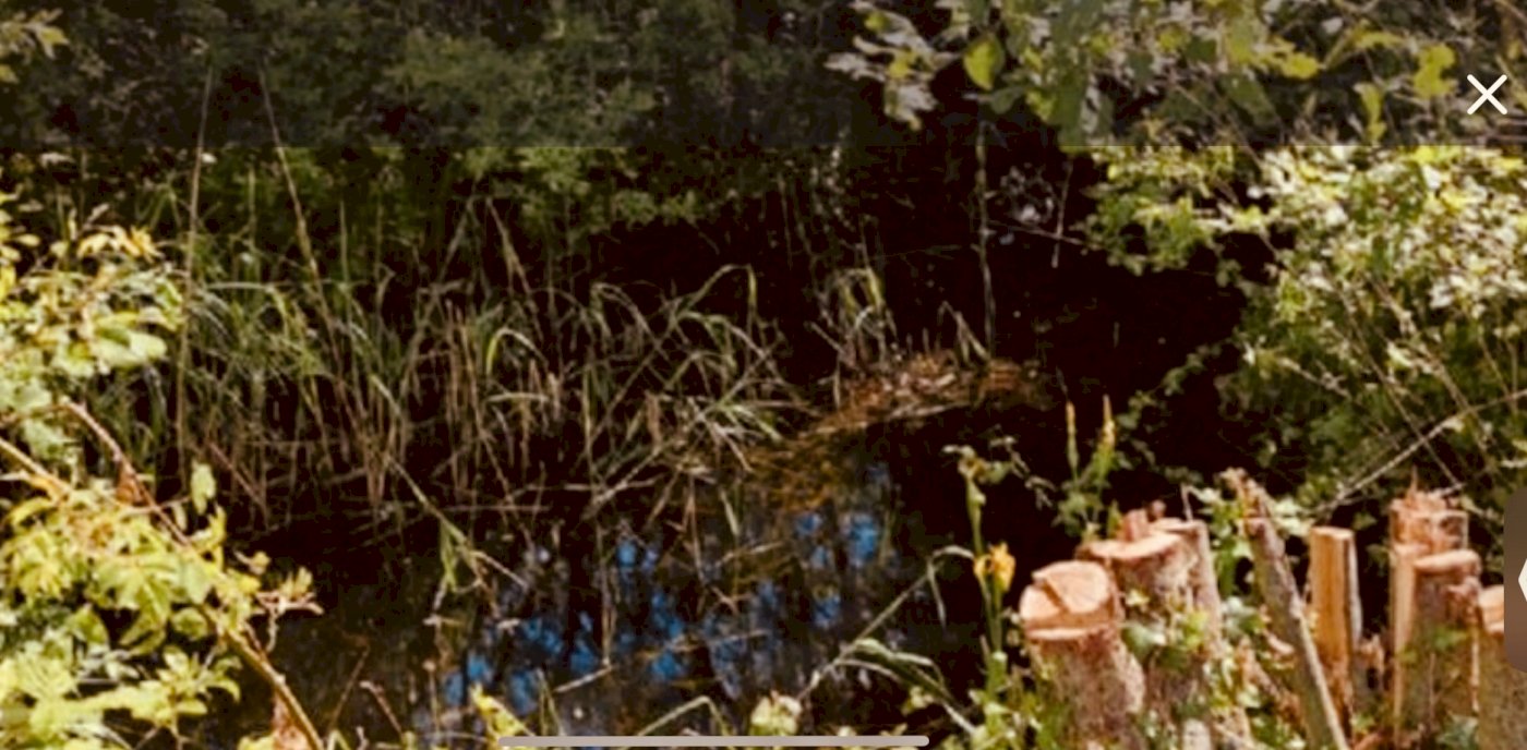 ph8_33782