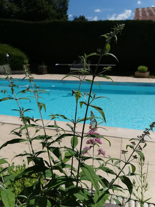 Villa 7 pièces - Photo 9 - Fains-les-Sources