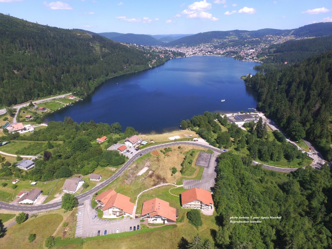 APPARTEMENT DE 45 M² - Photo 9 - Gérardmer