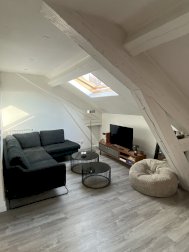 Appartement 3 pièces - Nancy (54000)