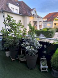 À visiter absolument ! Appartement 3 pièces de 64 m² | Strasbourg Stockfeld - Strasbourg (67100)