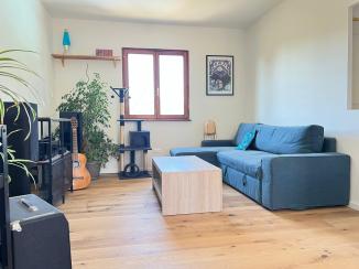 Maison 100m², 3/4 chambres, 2 sdb, combles, sous-sol, piscine, terrasse, jardin - Saverne (67700)
