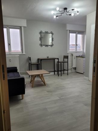 STUDIO STRASBOURG QUARTIER ORANGERIE - Strasbourg (67000)